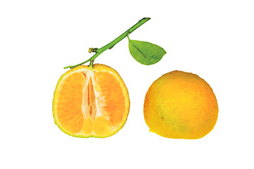 Image showing Clementine with green leaf cutted in half