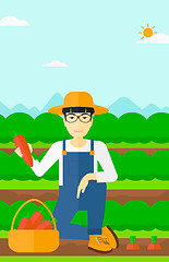 Image showing Farmer collecting carrots.