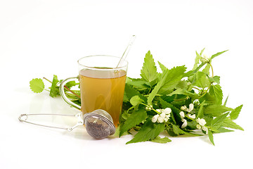 Image showing Healthy herbal tea