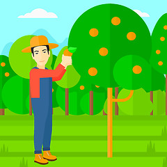 Image showing Farmer collecting oranges.