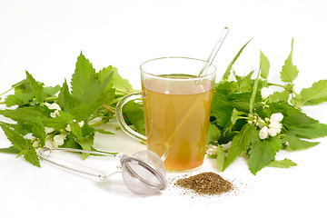 Image showing Herb Tea