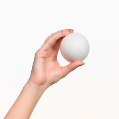 Image showing The female hand holding white blank styrofoam ball 