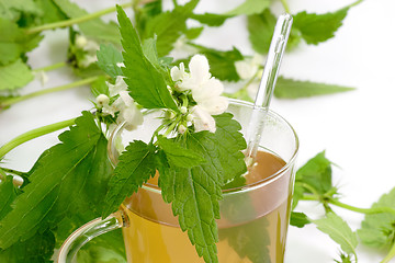 Image showing Tea of stinging nettle