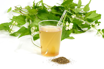 Image showing Tea of stinging nettles