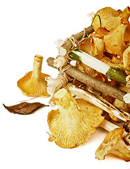 Image showing Perfect Raw Chanterelles