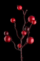 Image showing Red Christmas decoration branches