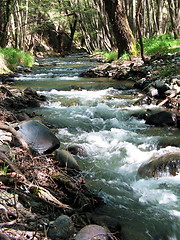 Image showing Foamy river. Cyprus