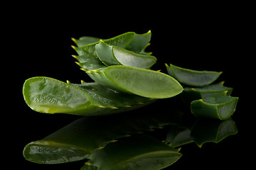 Image showing Sliced aloe leaf