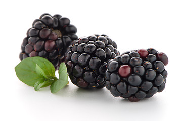 Image showing Blackberries with leaves