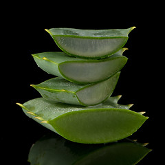 Image showing Sliced aloe leaf