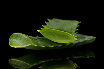 Image showing Sliced aloe leaf