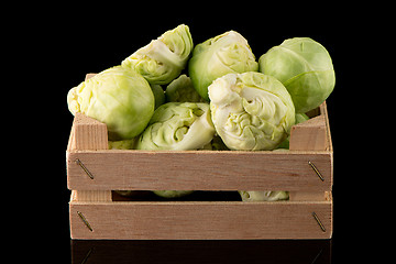 Image showing Fresh brussels sprouts