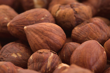 Image showing Heap of old hazelnuts