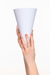 Image showing The cone in female hands on white background