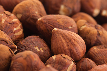 Image showing Heap of old hazelnuts