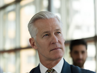 Image showing portrait of handsome senior business man