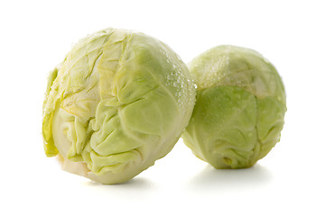 Image showing Fresh brussels sprouts