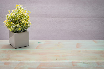 Image showing Small decorative plant on a wooden table