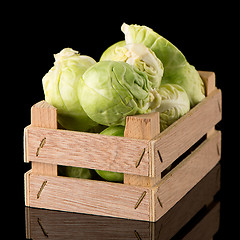 Image showing Fresh brussels sprouts