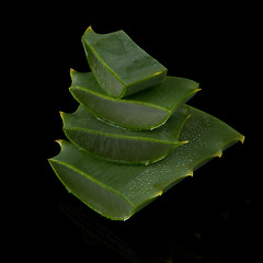 Image showing Sliced aloe leaf