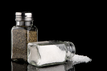 Image showing  Salt and oregano shakers