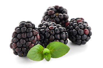 Image showing Blackberries with leaves