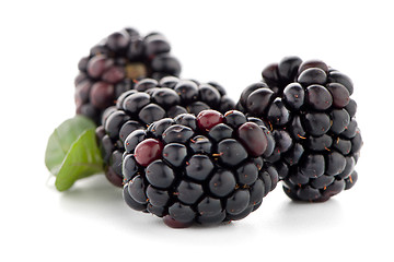 Image showing Blackberries with leaves