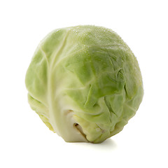 Image showing Fresh brussels sprouts