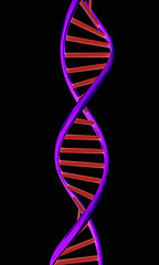 Image showing DNA structure model