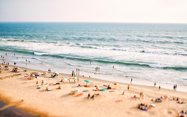 Image showing Beach on the Indian Ocean