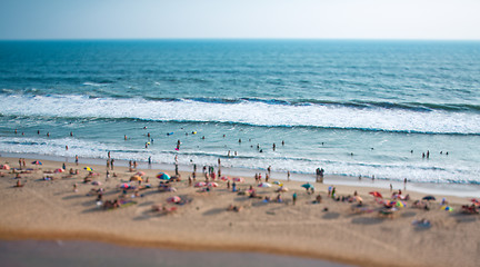 Image showing Beach on the Indian Ocean