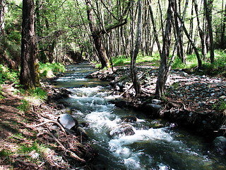Image showing Creek. Cyprus