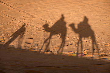 Image showing Camel shadows on Sahara Desert sand in Morocco.