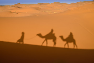 Image showing Camel shadows on Sahara Desert sand in Morocco.