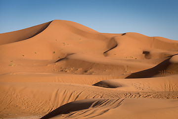 Image showing Dunes, Morocco, Sahara Desert