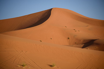 Image showing Dunes, Morocco, Sahara Desert