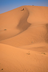 Image showing Dunes, Morocco, Sahara Desert