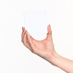 Image showing Female hand holding blank paper for records on white.