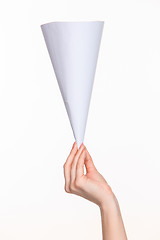 Image showing The cone in female hands on white background