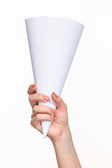 Image showing The cone in female hands on white background