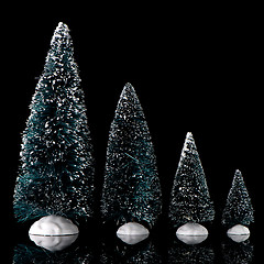 Image showing Miniature pine trees