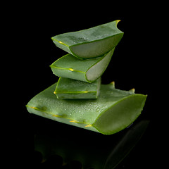 Image showing Sliced aloe leaf