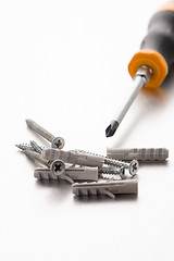 Image showing Screwdriver, screws and plastic dowels