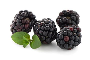 Image showing Blackberries with leaves