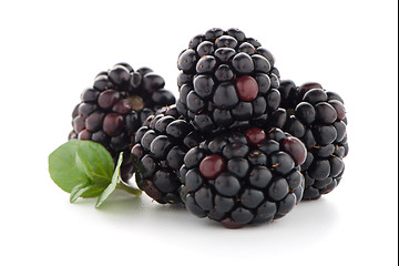 Image showing Blackberries with leaves