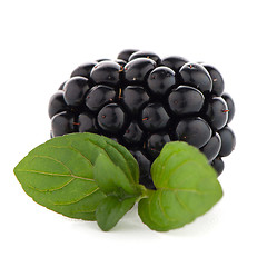 Image showing Blackberries with leaves