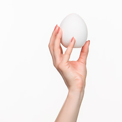 Image showing The female hand holding white blank styrofoam oval 