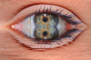 Image showing Eye