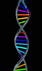 Image showing DNA structure model