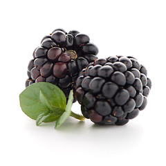 Image showing Blackberries with leaves